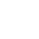 High Aerobic