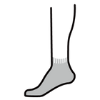 Ankle