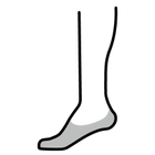 Discrète