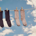 Everyday Anchor Line Crew Socks Light Gray - ver - 3