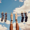 Everyday Diamond Jim Argyle Crew Socks Trio Gift Box Multicolor - ver - 4